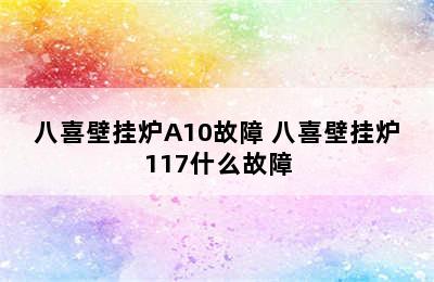 八喜壁挂炉A10故障 八喜壁挂炉117什么故障